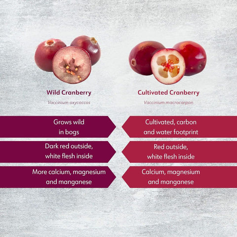 wild cranberry vs cultivated cranberry