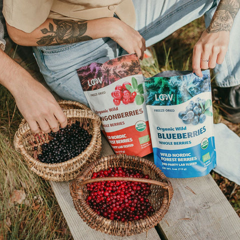 freeze dried blueberries lingonberries