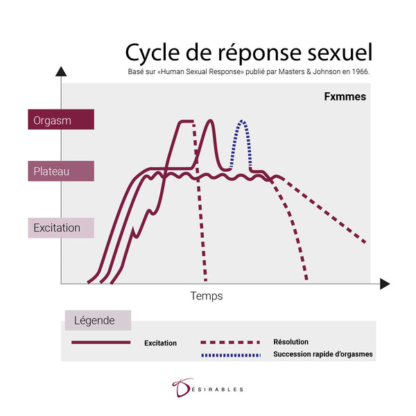 Cycle de la réponse sexuelle chez les femmes et fxmmes