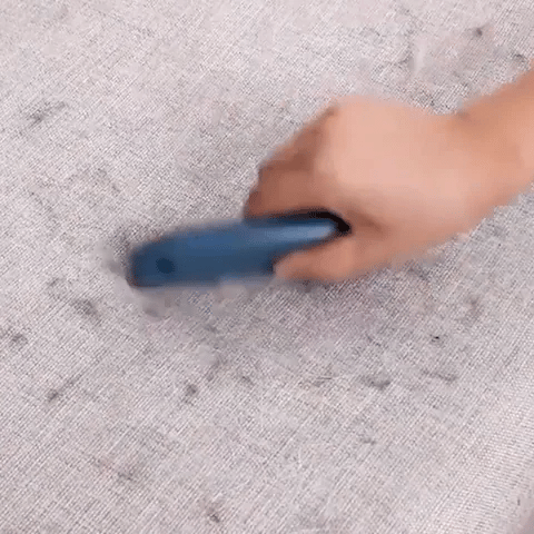 brosse-pour-chien-anti-poils