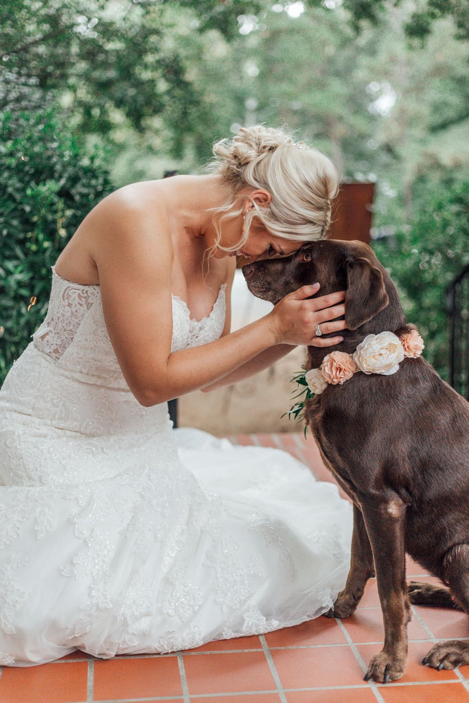 First Look with Dog - Wedding Photo Ideas