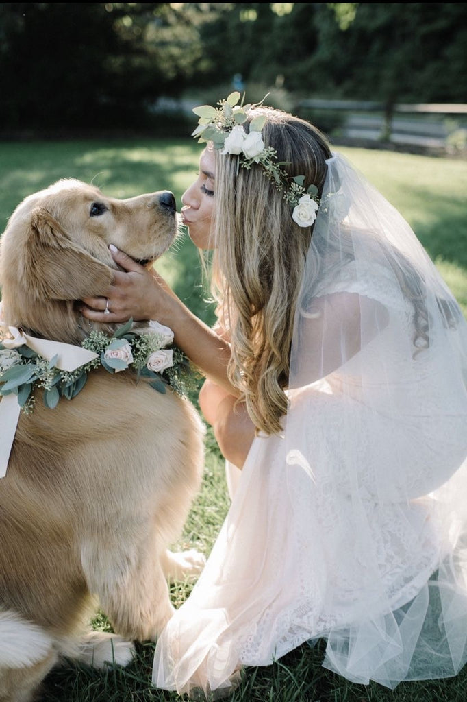 Wedding First Look with Dog - Wedding Photos