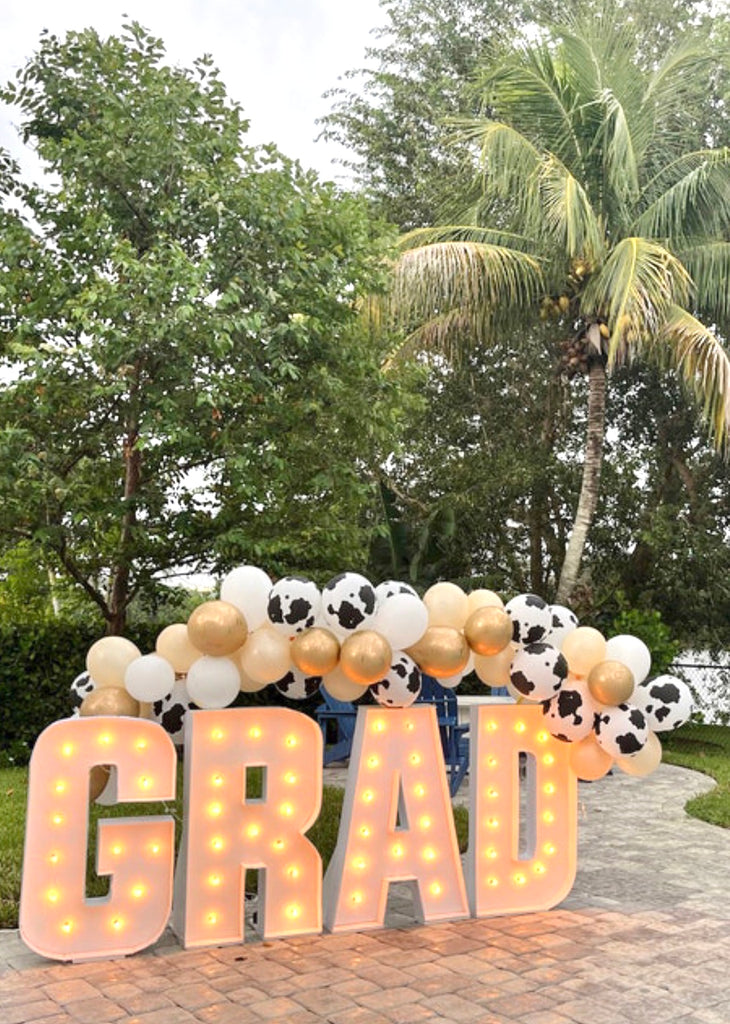 Graduation Party Balloon Arch and Backdrop