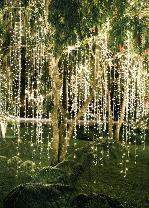 Backyard Wedding Ideas - Fairy Lights - Twinkle Lights - Backyard Wedding Ideas - Pretty Collected