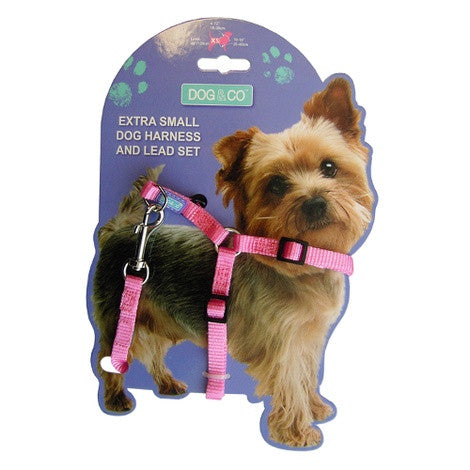 small puppy harness and lead