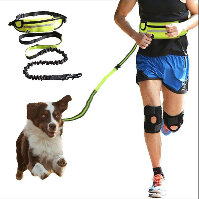 Hands-Free Running Leash with Belt