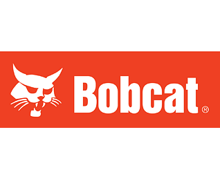 Bobcat