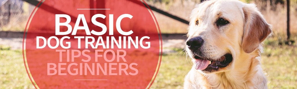 Top 5 Best Dog Training Super Tips For Beginners logo