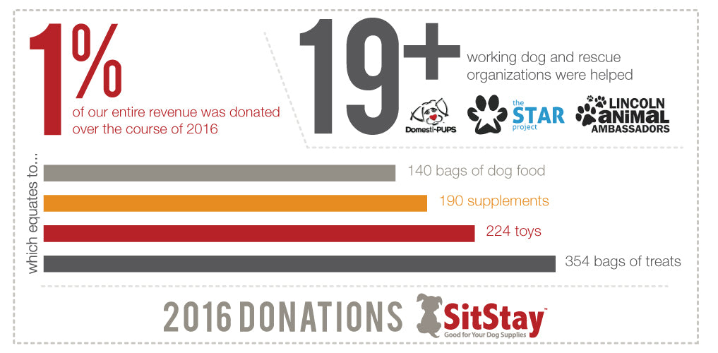 2016 SitStay Donations