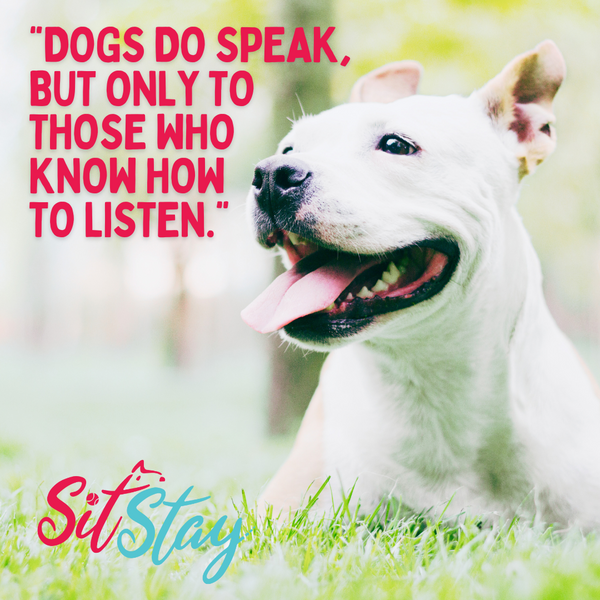 Quotes About Dogs