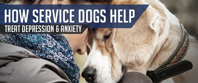 SitStay Blog How Service Dogs Help Treat Depression & Anxiety