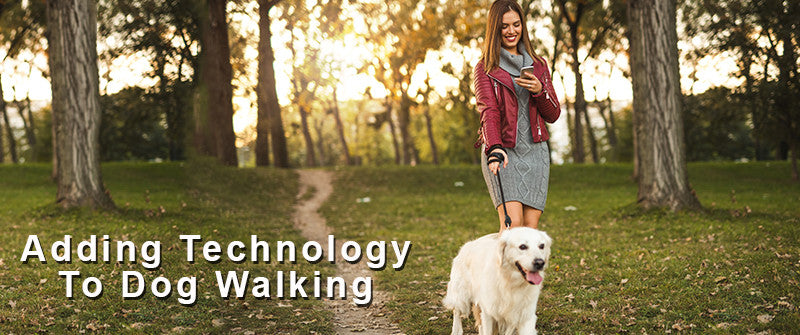 SitStay Blog Adding Technology to Dog Walking