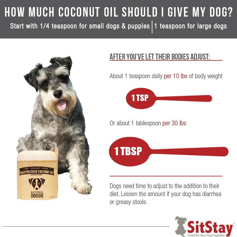 Coconut Oil for Dogs - The Ultimate 