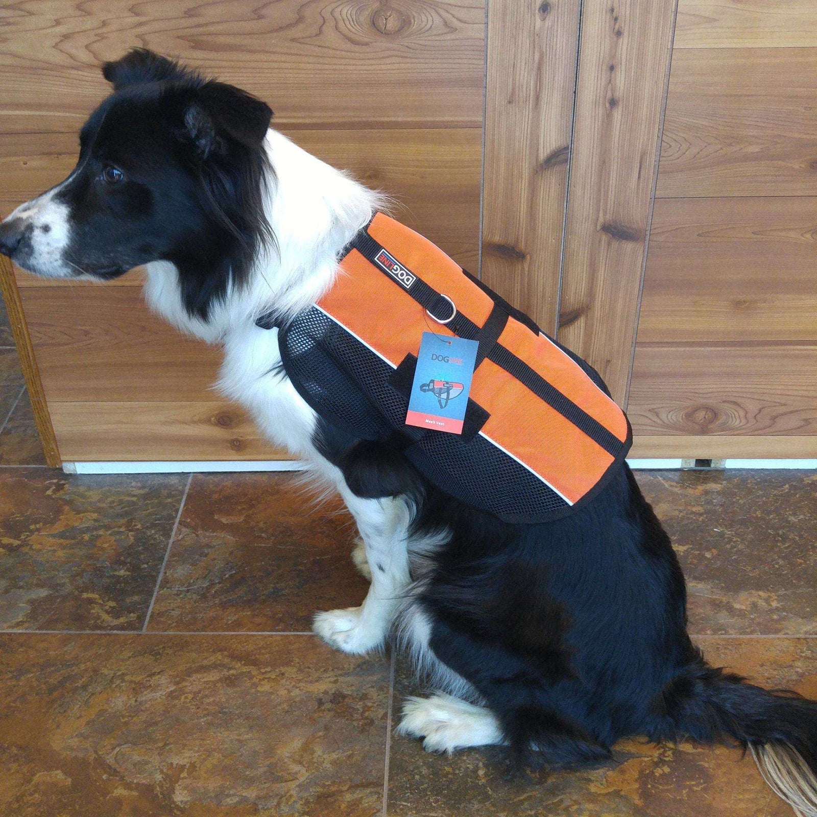 what color are service dog vests