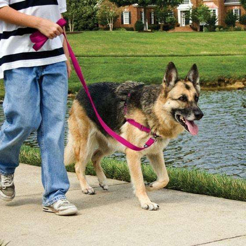 Petsafe Easy Walk Harness Small Fawn Brown For Dogs Petsafe Easy Walk Harness Small Fawn Brown For Dogs
