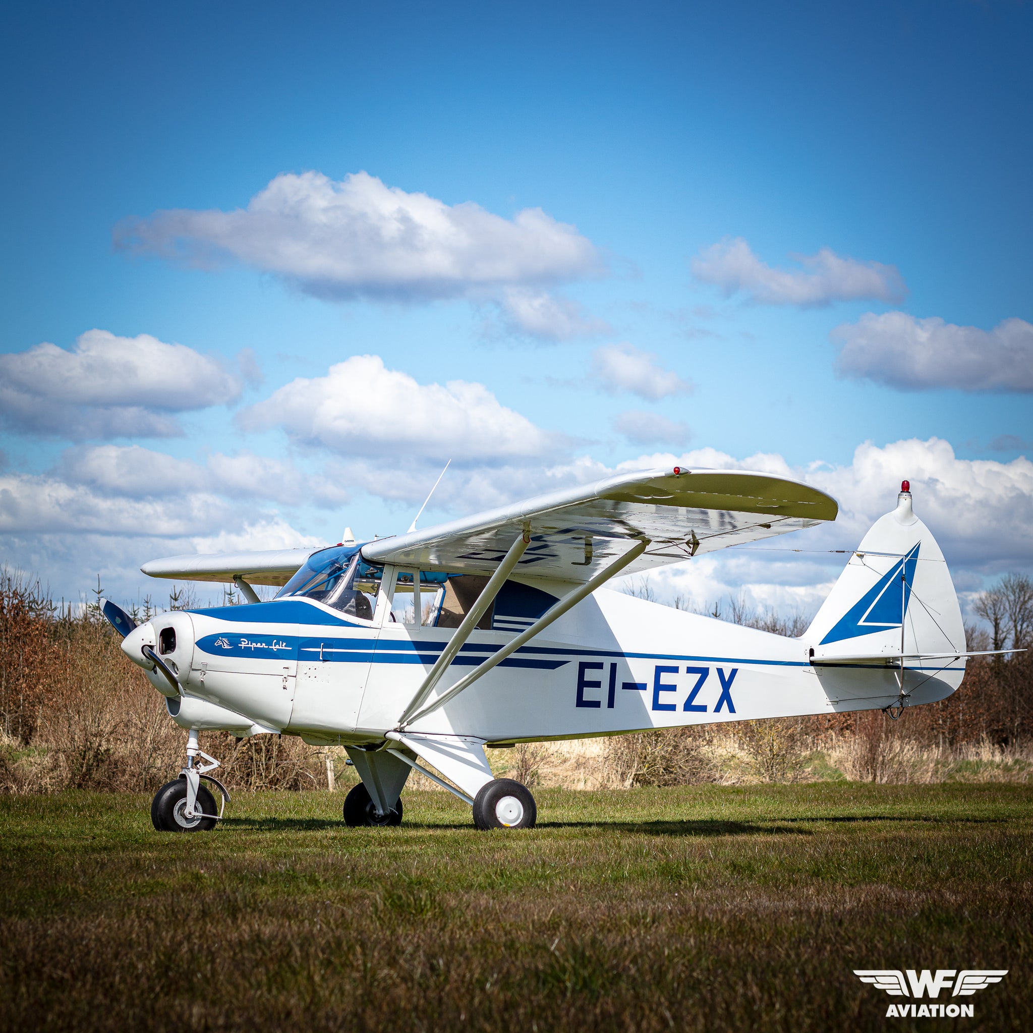New Aircraft Arrivals - Wf Aviation