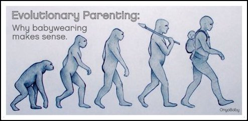 Evolution of babywearing