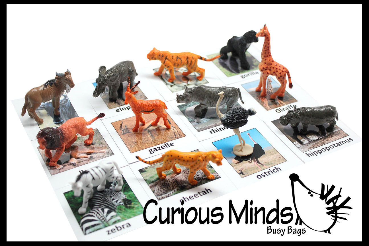 animal learning toys