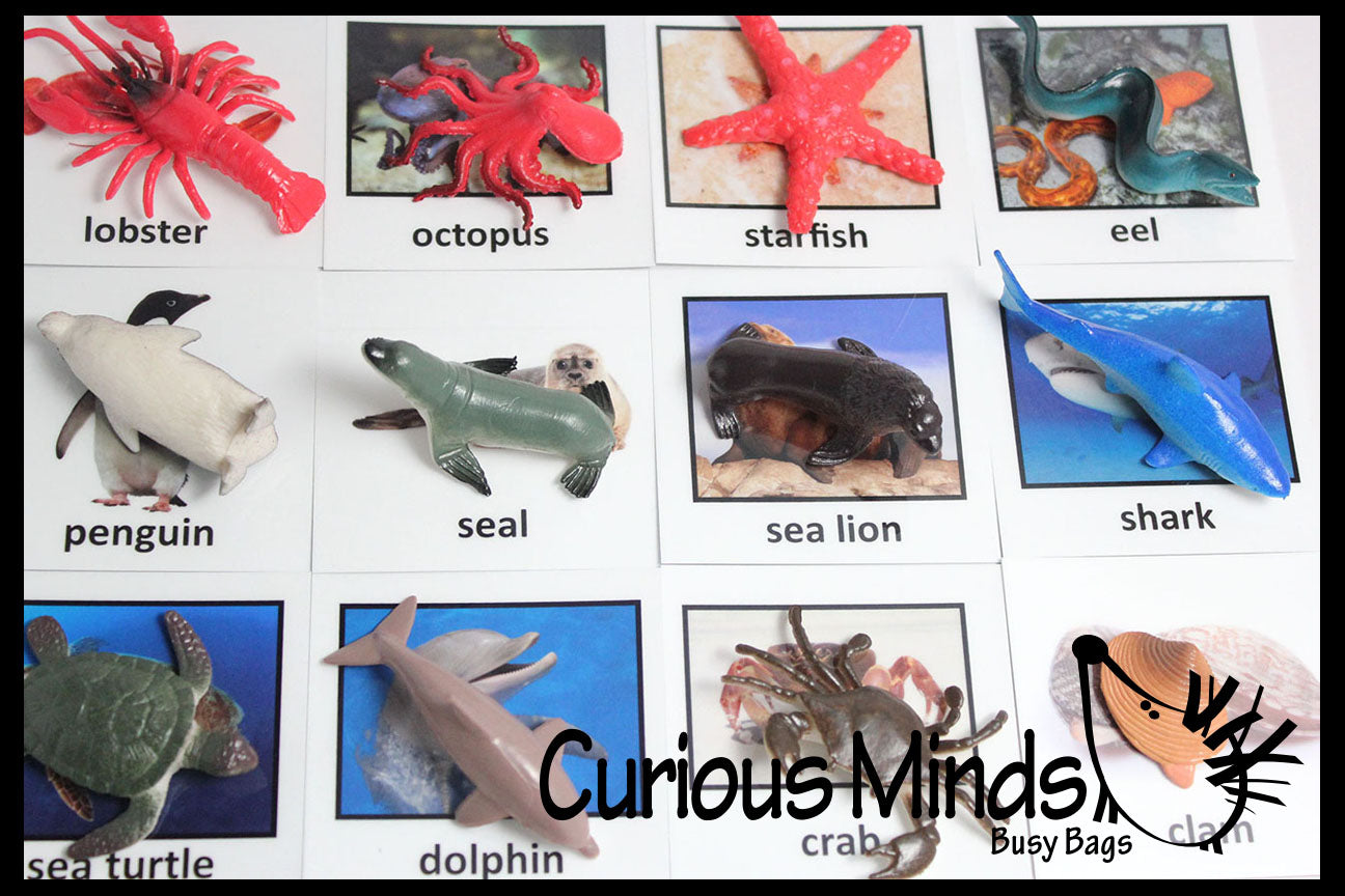 miniature ocean animals