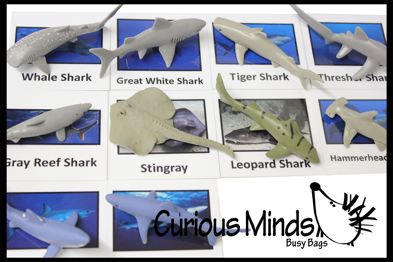 leopard shark toy