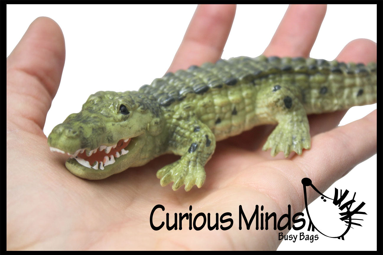 Stretchy Crocodile Alligator Sensory Fidget Toy Curious Minds Busy Bags