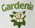 Buy Imported Mistolin Gardenia Fragrance Cleaner