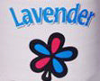 Buy Imported Mistolin Lavender Fragrance Cleaner