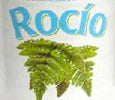 Buy Imported Mistolin Rocio Fragrance Cleaner