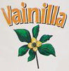 Buy Imported Mistolin Vanilla Cleaner