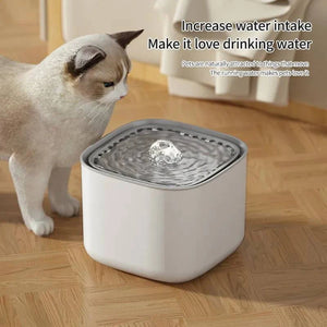 Quiet Cat Water Fountain - Shop All I Want