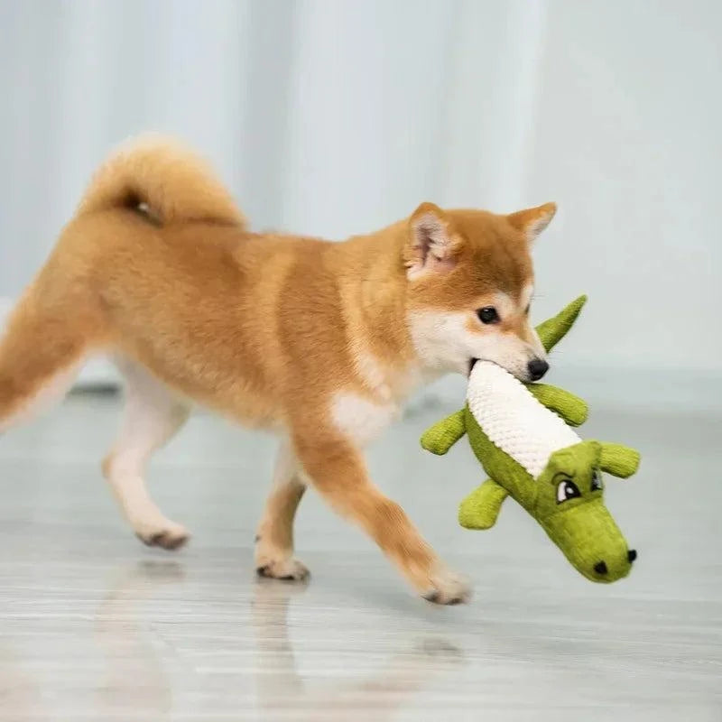 Alligator Chew Toy πΎπ¦·