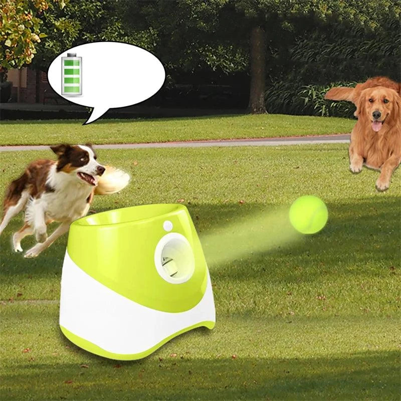 Automatic Dog Tennis Launcher: Interactive Fun! πΎπΎ #PetToys