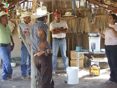 distribucion-filtros-agua-rural-mexico