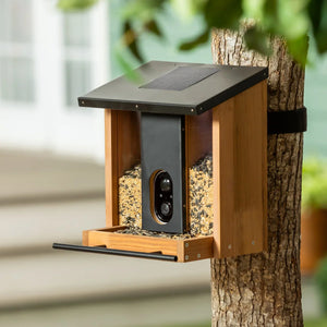 Bird Feeder With Solar Panel - Marthas Collections