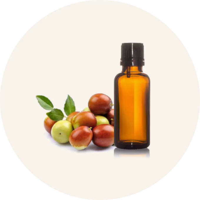 Brown glass bottle with fresh jujube fruits and leaves.