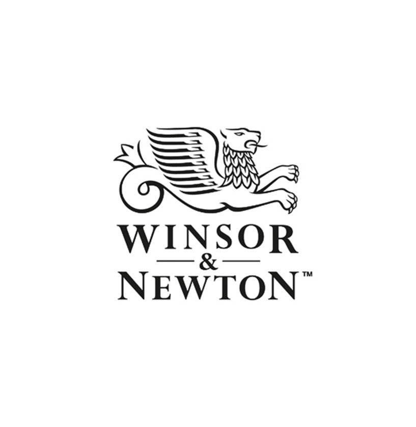 winsor and newton ink sets