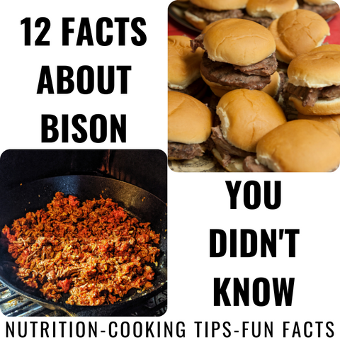12 Facts About Bison You Didn't Know by Barbecues Galore