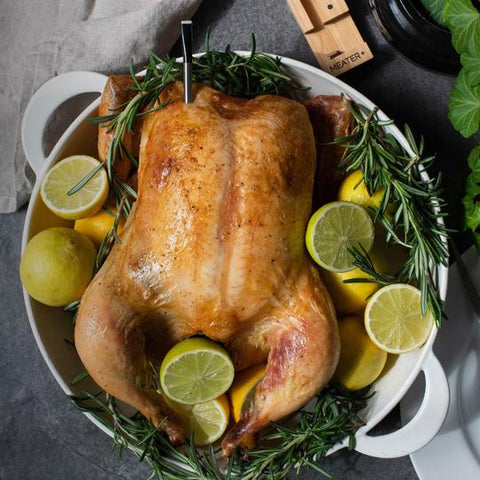 MEATER+ Thermometer is the Best for Cooking Your Holiday Turkey