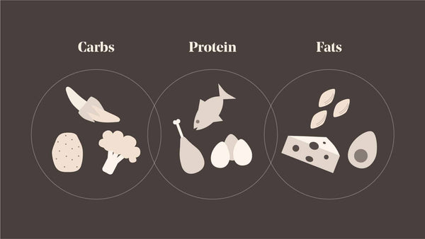 a graphic showing examples of food that are high in protein, fat and carbs.