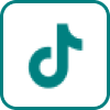 TikTok Icon