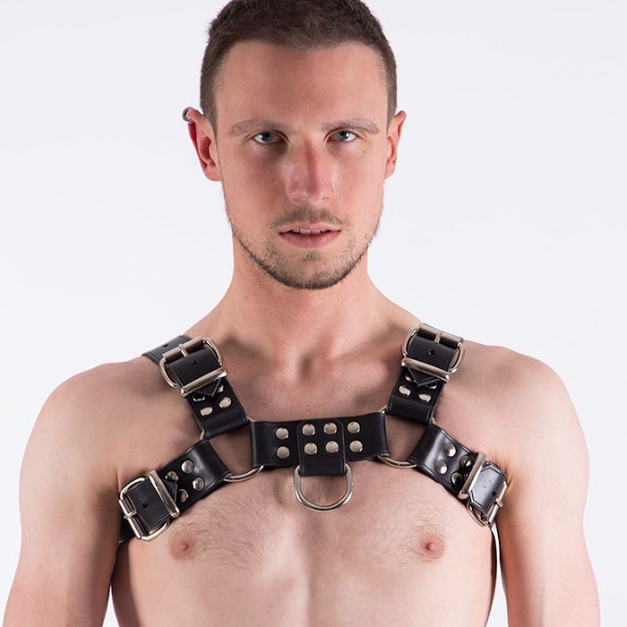 REGULATION Premium Leather Bulldog Harness - REX Store product image