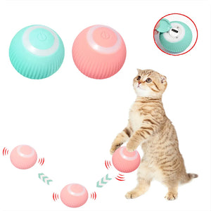 Smart Ball for Cats and Dogs - The Cajé