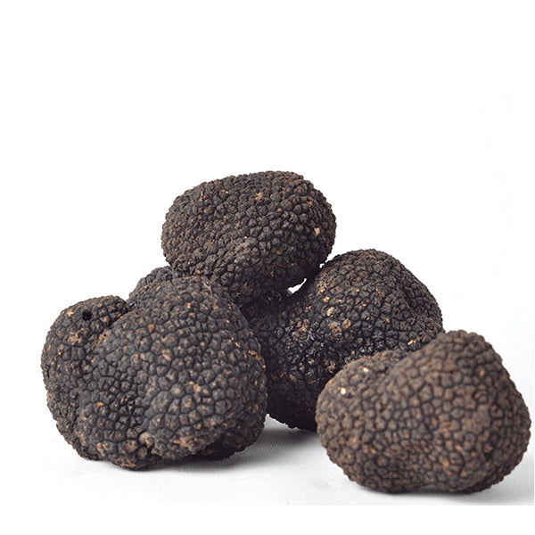 Fresh Black Truffle-Tuber Uncinatum (Selling season: September - Janua - Zigante Tartufi Online Shop