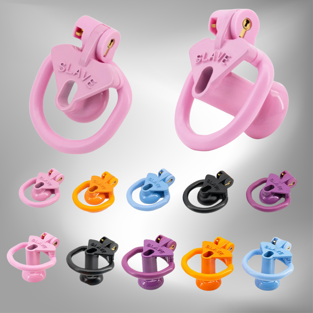 Cage de chasteté inversée pour esclave sexuelle, petite et négative, dispositif BDSM, cage à bite inversée pour gays et hommes