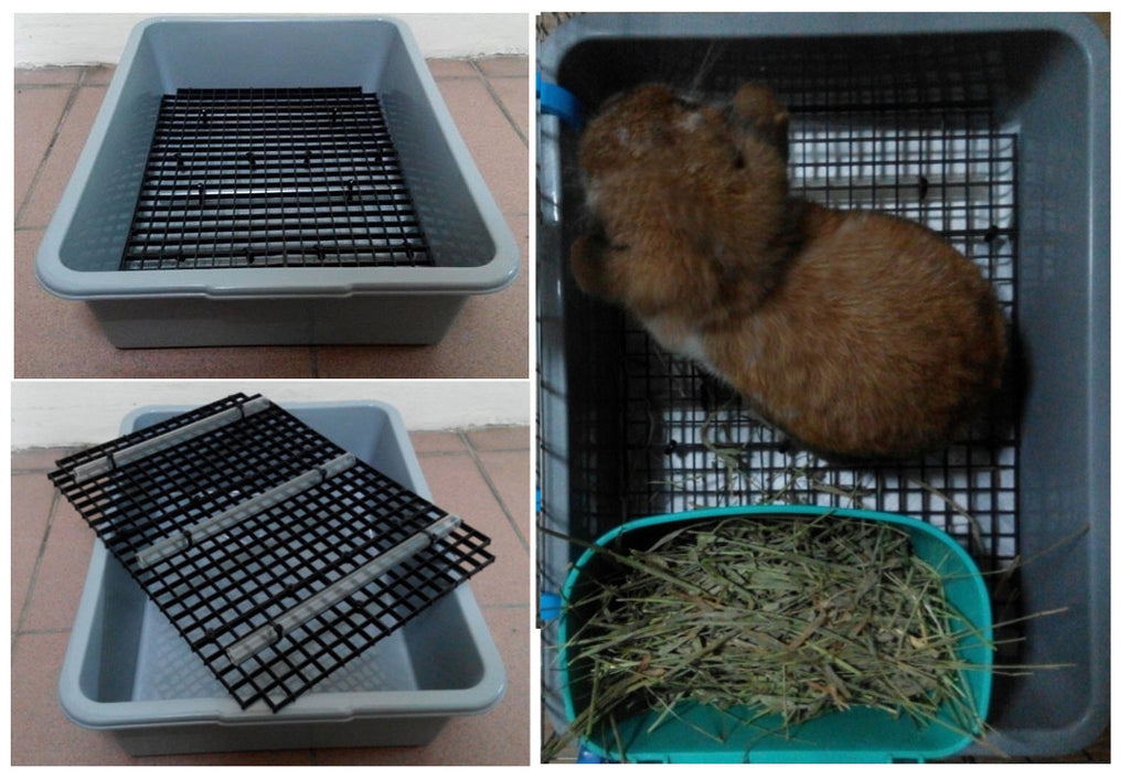 bunny litter box diy