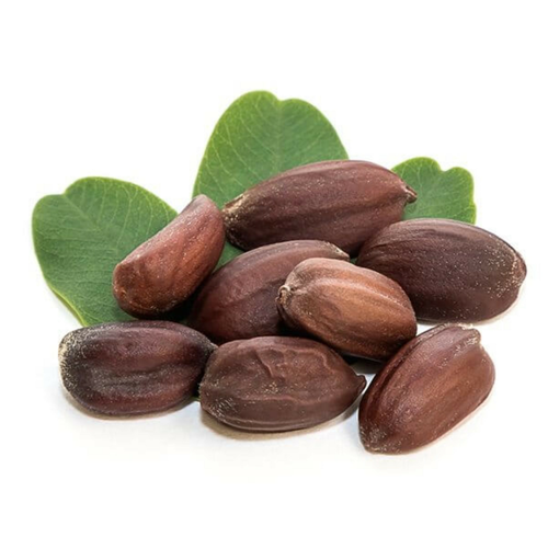 Jojoba v3.png__PID:c560b8de-f598-4408-aa6a-b9459463e70e