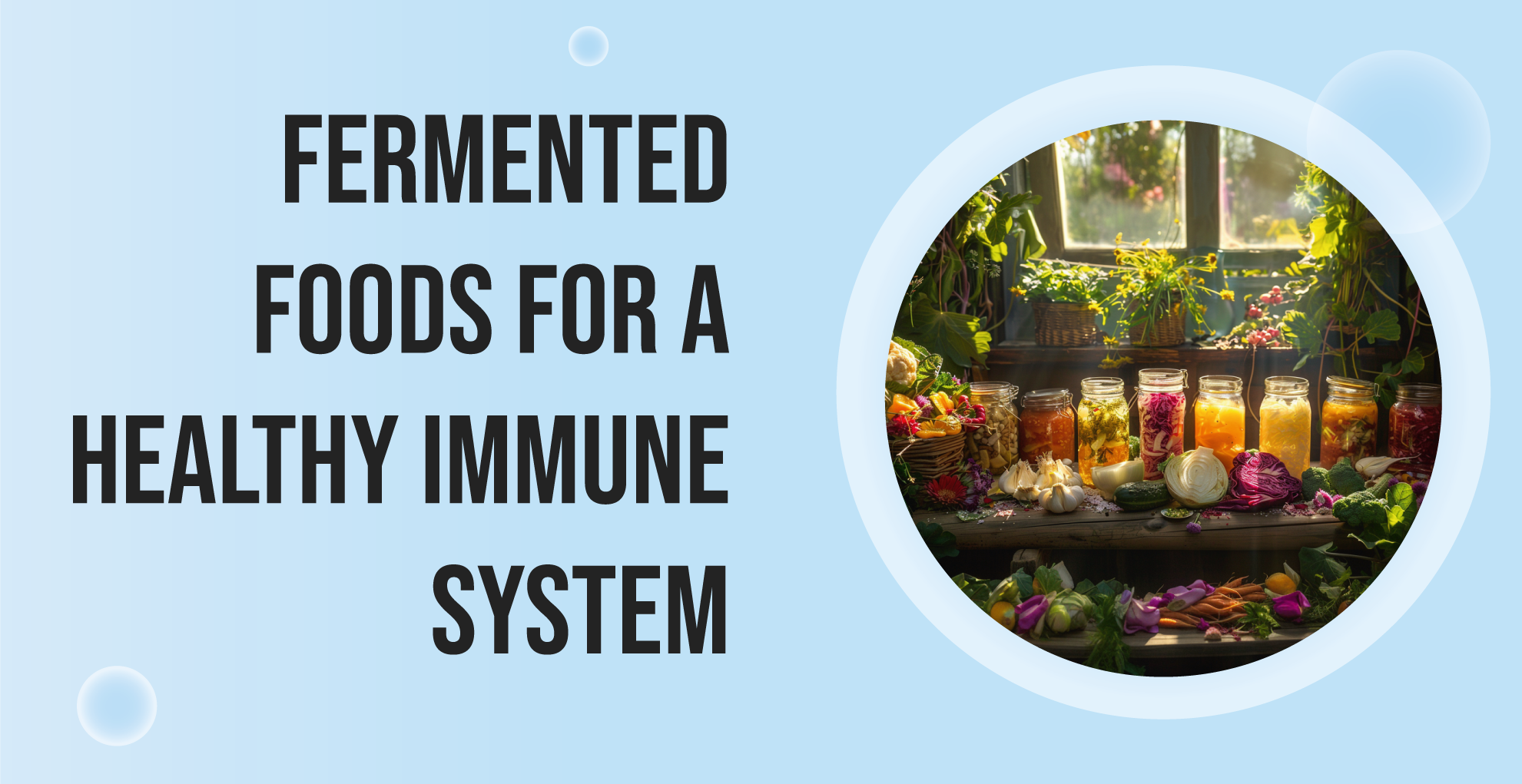 fermented foods for a healthy immune system