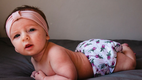 A baby wearing a cloth nappy with proteas on it