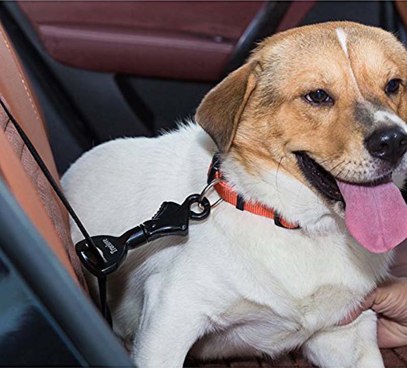 dog car seat belt attachment