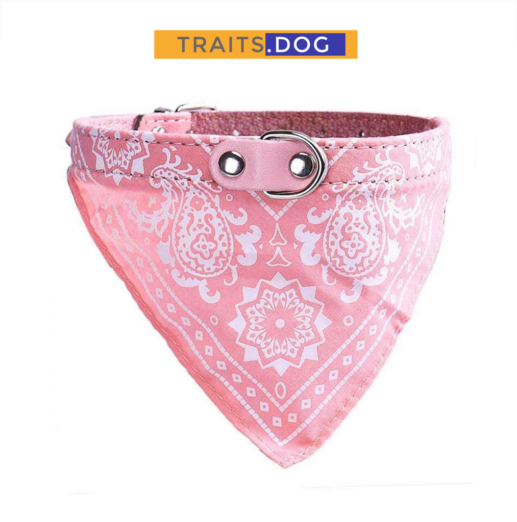 bandana collars for small dogs